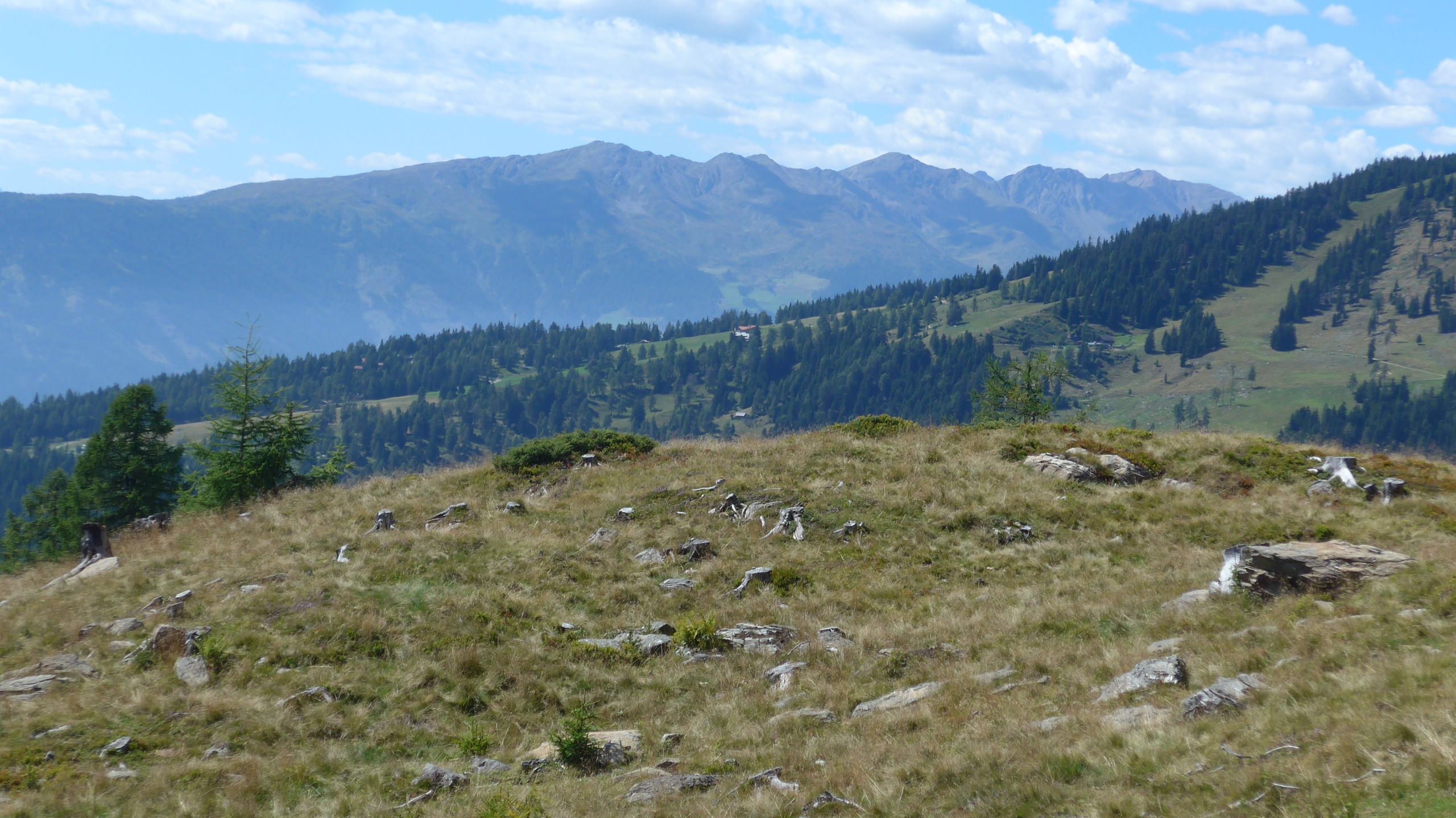 Blick in die Weite und ins Tal